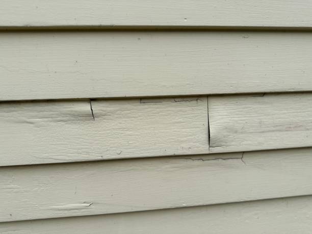 Trusted Cuba City, WI Siding Experts